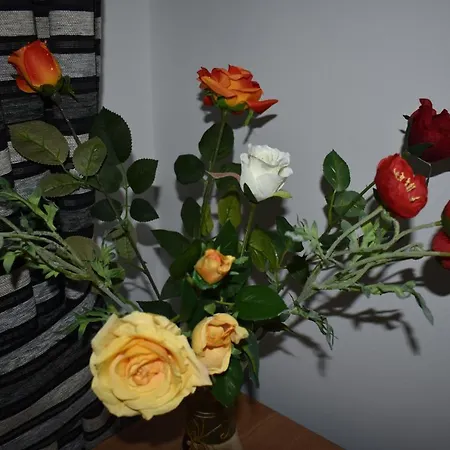 Apartment Vera Timisoara